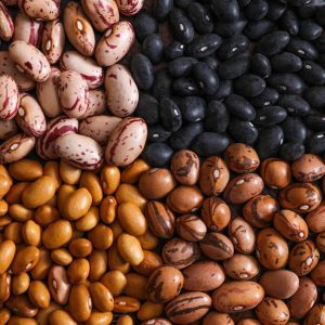 Buy Beans for sale- Bulk Beans wholesale supplier