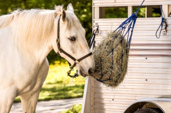 Hay v Haylage – which is right for your horse?