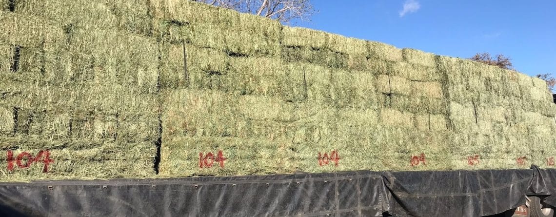 Hay Bales for Sale in the Middle East - Export and Import Guide