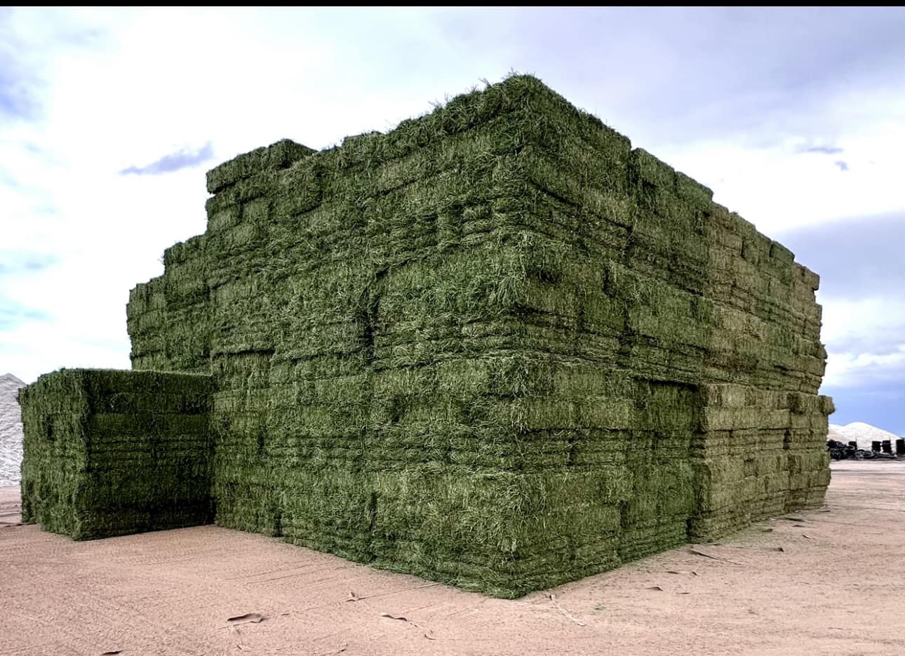 Hay for sale Egypt - Hay Wholesale Suppliers